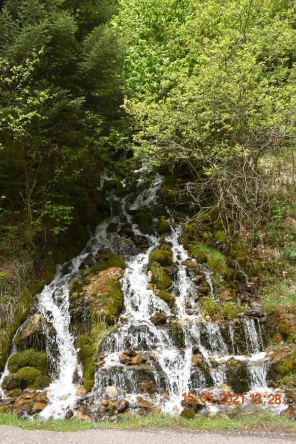 Vista Baqueira Daire Vielha Dış mekan fotoğraf